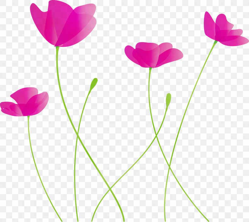 Flower Petal Pedicel Pink Tulip, PNG, 3000x2679px, Poppy Flower, Cut Flowers, Flower, Paint, Pedicel Download Free