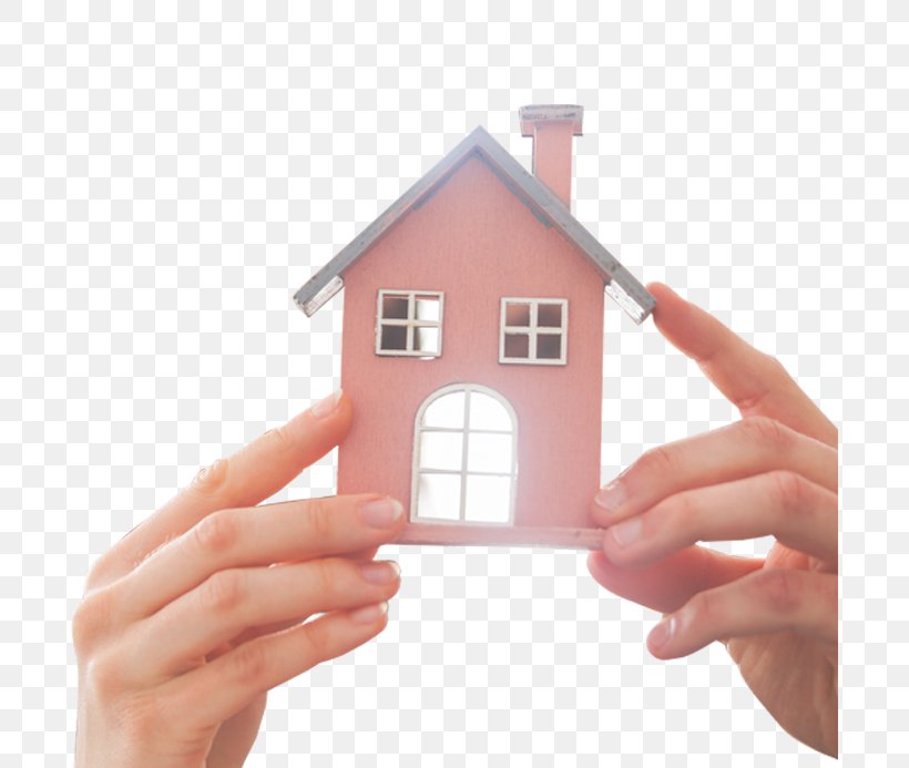 House Real Estate Southwest Florida Bobbie Leahey, Realtor®, PNG, 693x693px, House, Affordable Housing, Com, Finger, Florida Download Free