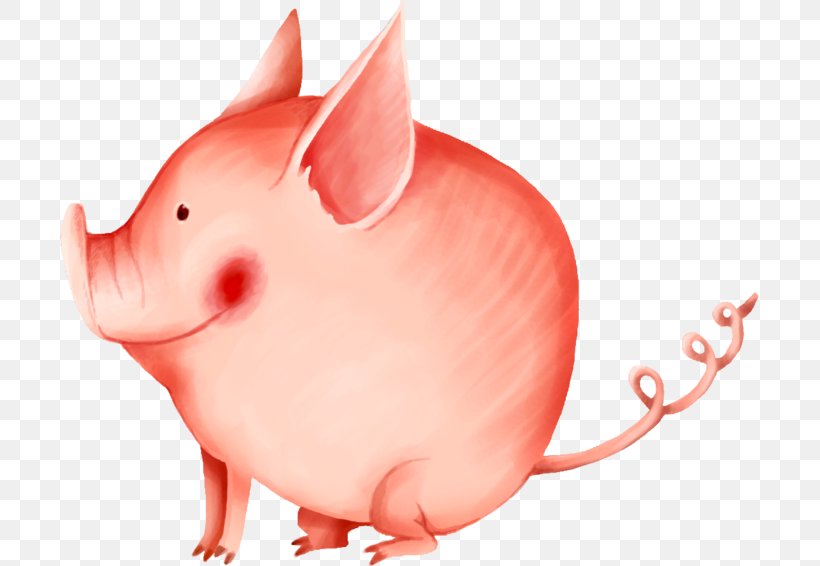 Piggy Bank, PNG, 699x566px, Rat, Animal, Blog, Cartoon, Internet Download Free