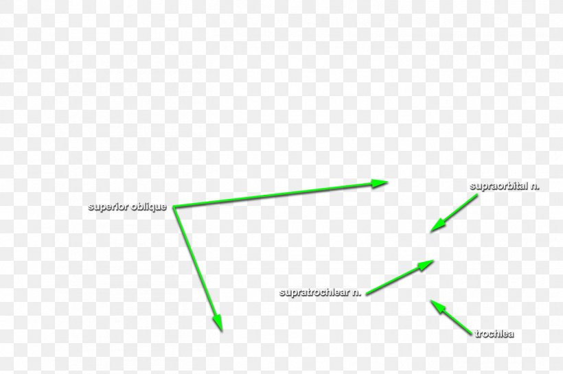 Line Angle, PNG, 1354x900px, Diagram, Grass, Green Download Free