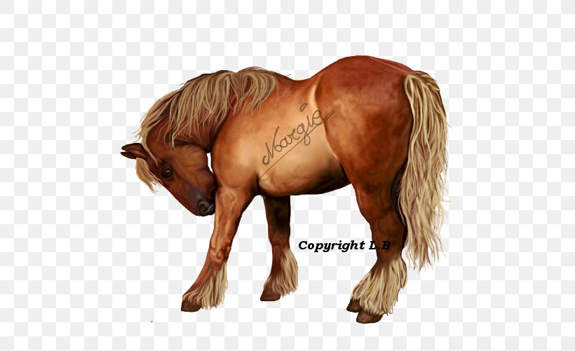 Mustang Stallion Mare Halter Freikörperkultur, PNG, 500x501px, Mustang, Animal Figure, Halter, Horse, Horse Like Mammal Download Free