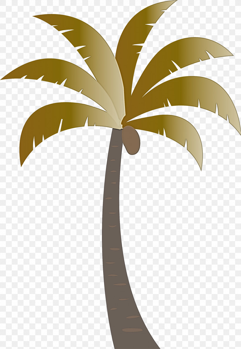 Palm Trees, PNG, 2072x3000px, Palm Tree, Archontophoenix, Archontophoenix Cunninghamiana, Areca Palm, Beach Download Free