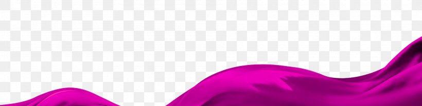 Shoe Beauty Close-up Petal, PNG, 1920x486px, Shoe, Beauty, Closeup, Footwear, Magenta Download Free