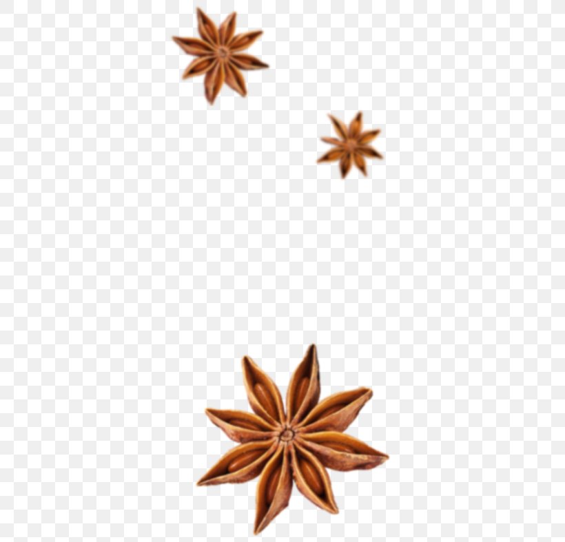 Spice Star Anise Flavor Cinnamon, PNG, 361x787px, Spice, Anise, Cinnamon, Essential Oil, Flavor Download Free