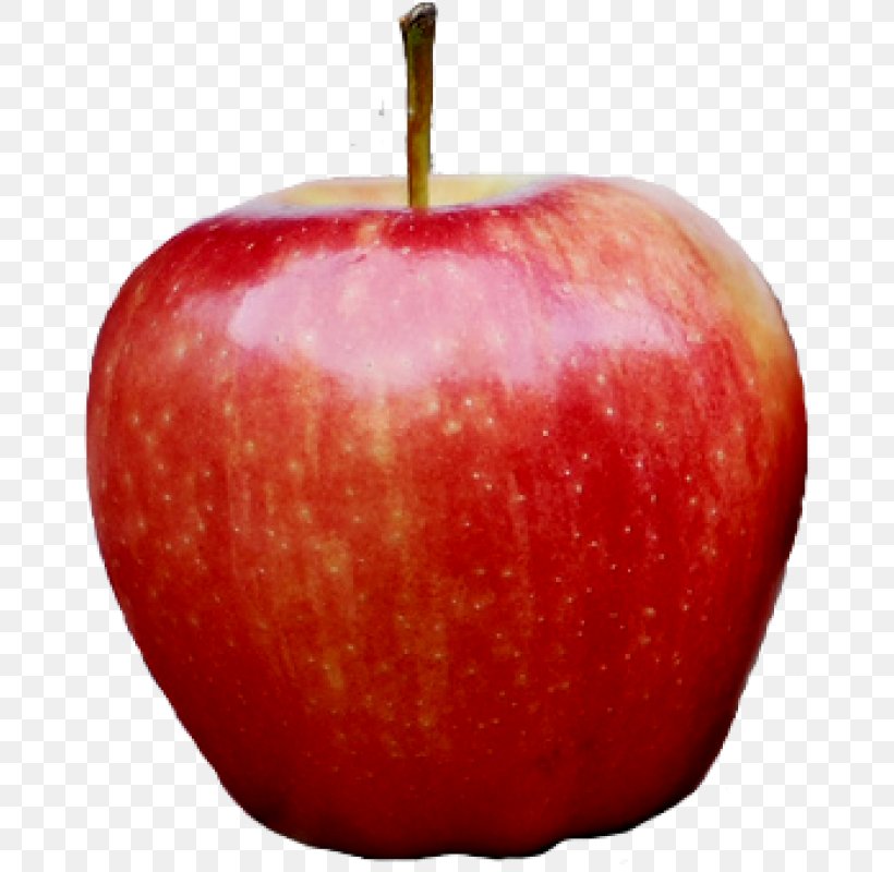 Apple IPhone Clip Art, PNG, 800x800px, Apple, Accessory Fruit, Apple Photos, Food, Fruit Download Free