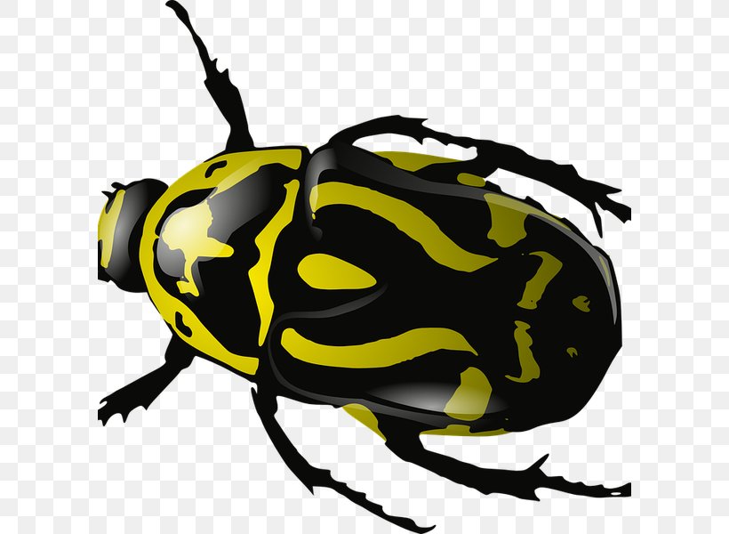 Desktop Wallpaper Beetle Clip Art, PNG, 600x600px, Beetle, Arthropod, Artwork, Blog, Fauna Download Free