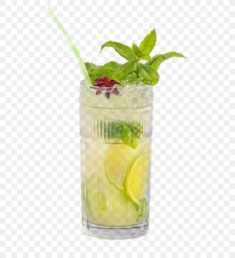 Mojito Cocktail Caipirinha Rickey Sea Breeze, PNG, 600x900px, Mojito, Caipirinha, Caipiroska, Cocktail, Cocktail Garnish Download Free