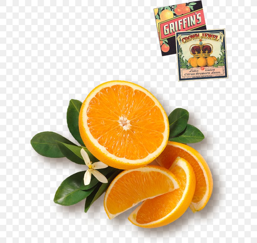 Blood Orange Fruit Salad Orange Juice, PNG, 640x778px, Blood Orange, Arugula, Bitter Orange, Candied Fruit, Chicken As Food Download Free