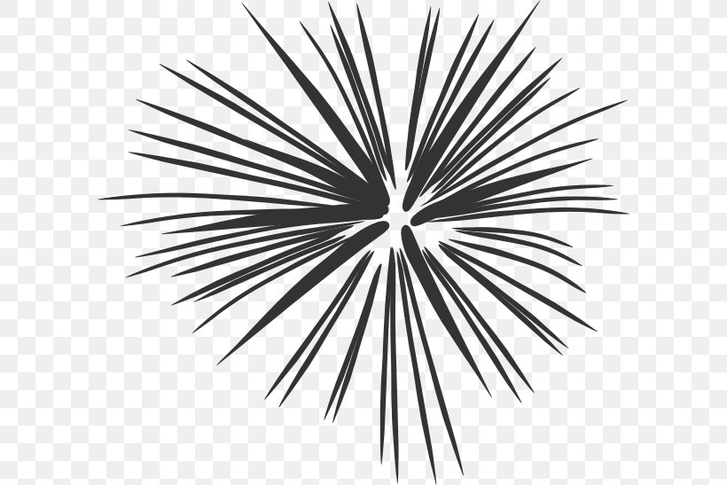 Fireworks Free Content Clip Art, PNG, 600x547px, Fireworks, Animation, Black And White, Cartoon, Free Content Download Free