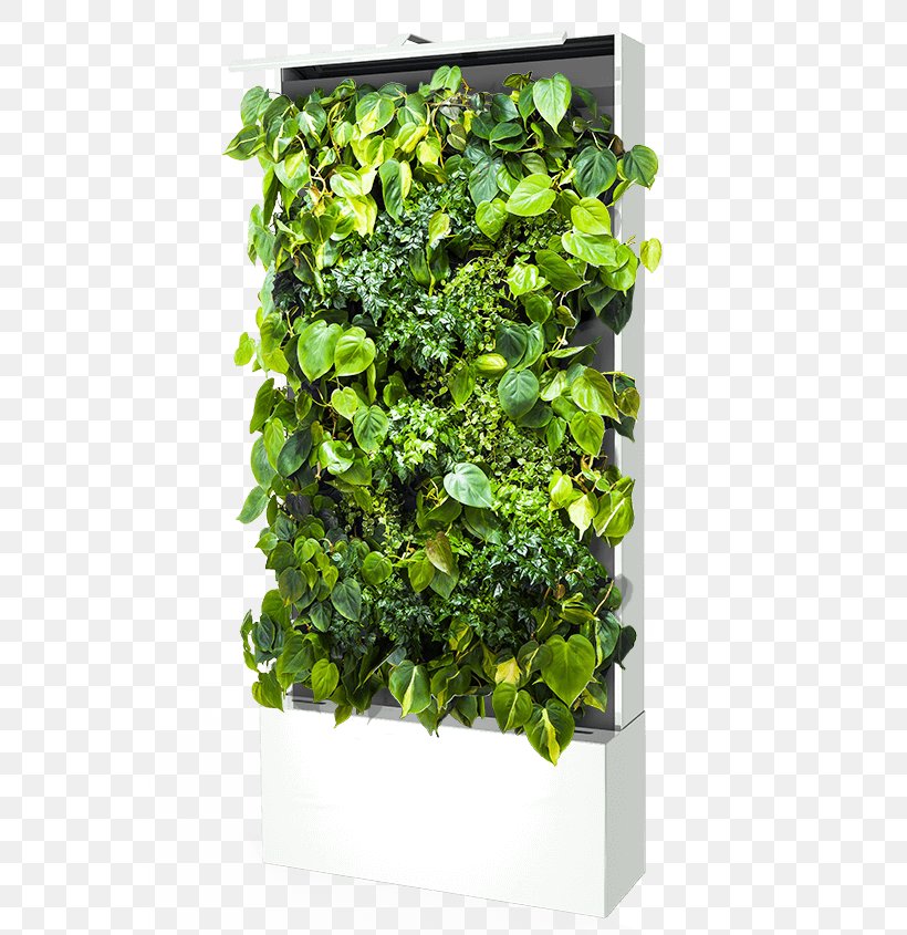 Green Wall Sustainable Design Parede Flowerpot, PNG, 550x845px, Green Wall, Environment, Flowerpot, Grass, Herb Download Free