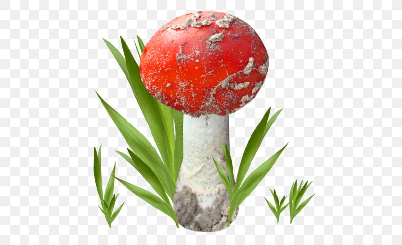 Mushroom Fungus Amanita Pleurotus Eryngii Clip Art, PNG, 500x500px, Mushroom, Amanita, Animaatio, Computer, Digital Image Download Free