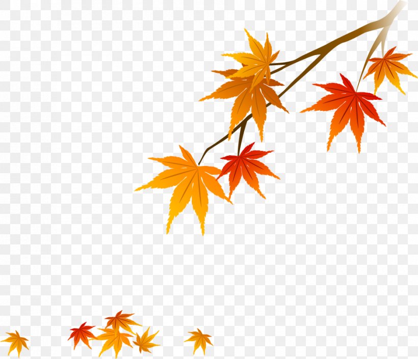Red Maple Maple Leaf, PNG, 940x809px, Red Maple, Autumn, Autumn Leaf Color, Branch, Flower Download Free