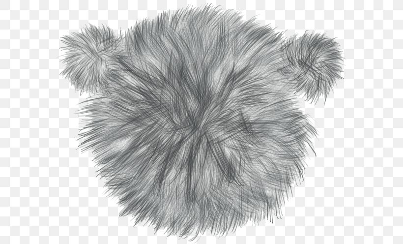 Whiskers Dog Fur Mammal Snout, PNG, 600x496px, Whiskers, Black And White, Canidae, Carnivoran, Dog Download Free