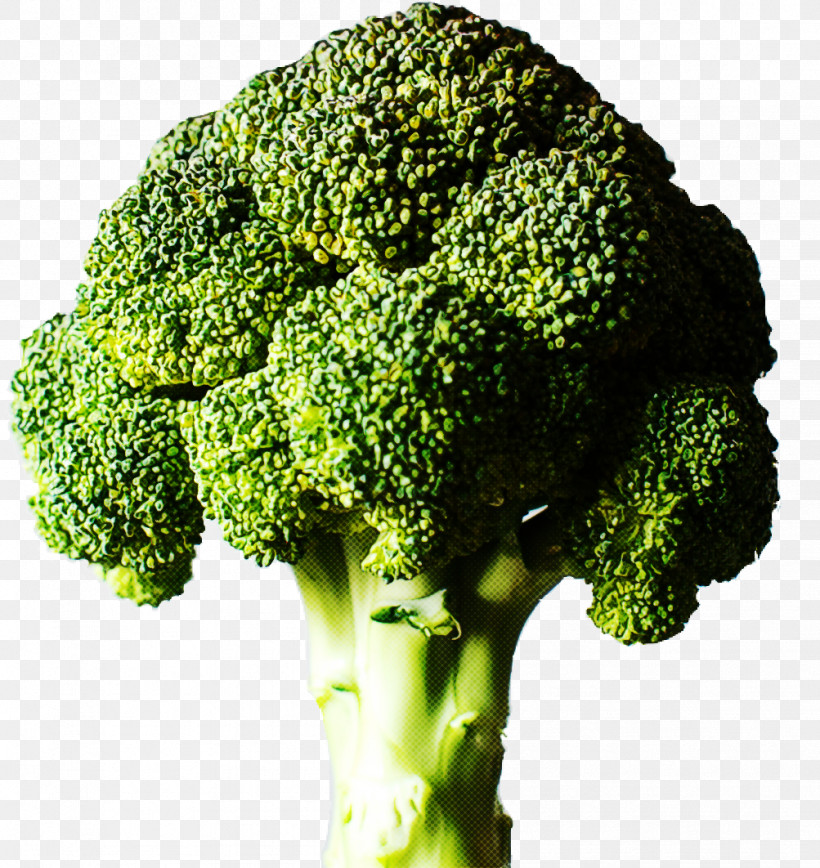 Cauliflower, PNG, 1003x1062px, Broccoli, Broccoflower, Cauliflower, Flower, Leaf Vegetable Download Free