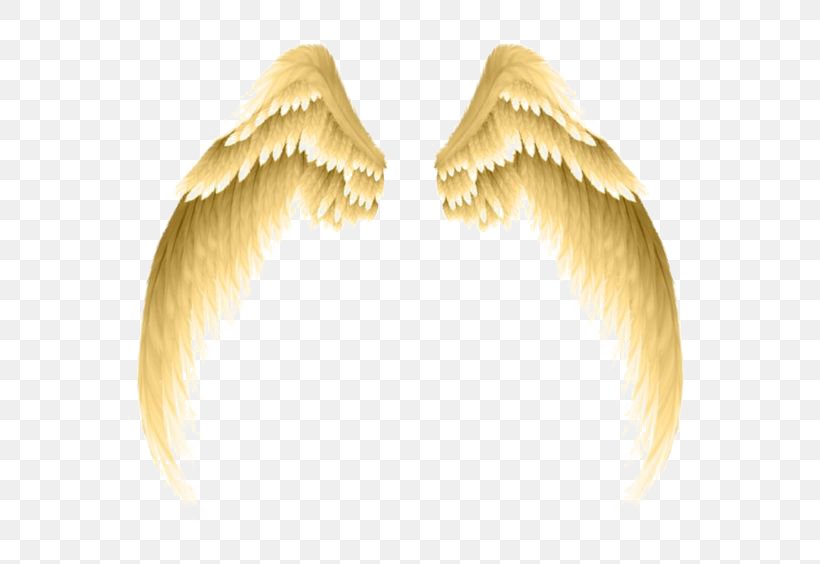 Photography Clip Art, PNG, 564x564px, Photography, Angel, Feather, Free Content, Neck Download Free