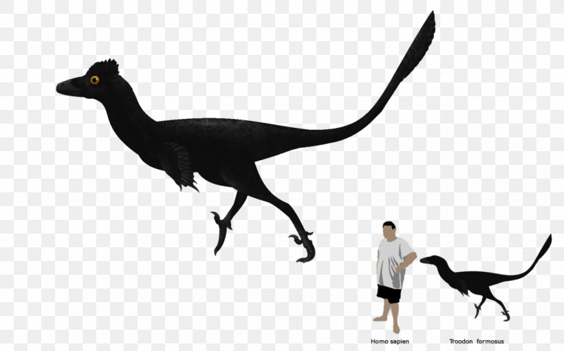 Velociraptor Fauna Beak, PNG, 1132x706px, Velociraptor, Beak, Dinosaur, Fauna, Organism Download Free