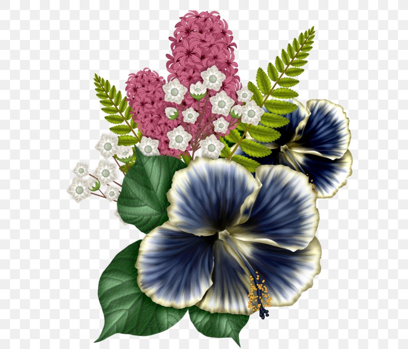 Flower Rosemallows Floral Design Clip Art, PNG, 599x700px, Flower, Annual Plant, Blog, Diary, Drawing Download Free
