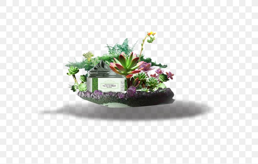 Houseplant Flowerpot Download, PNG, 748x521px, Houseplant, Flower, Flowerpot, Google Images, Grass Download Free