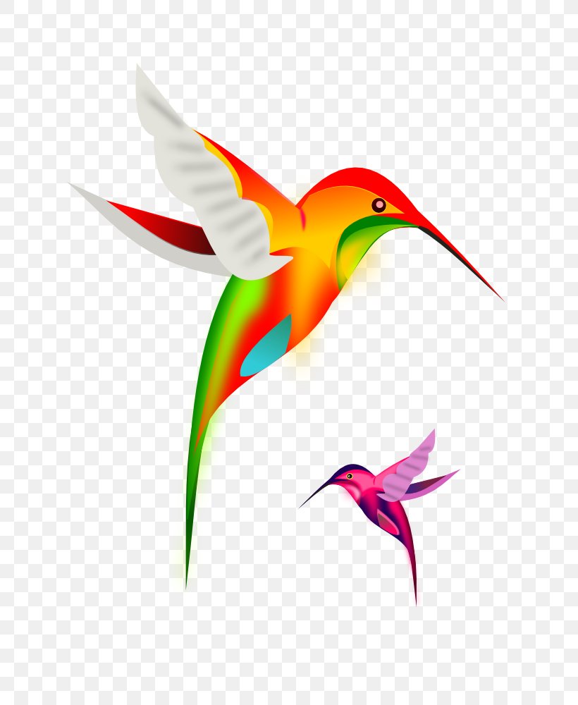 Hummingbird Clip Art, PNG, 707x1000px, Hummingbird, Beak, Bird, Drawing, Fauna Download Free
