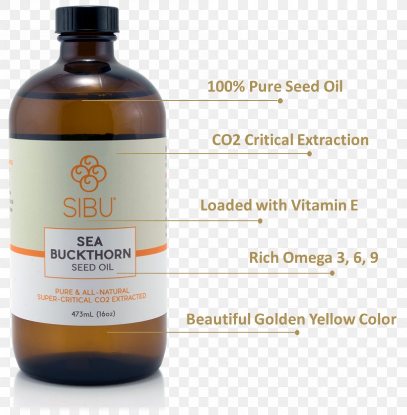 Sea Buckthorn Oil Seed Oil Seaberry Omega-7 Fatty Acid, PNG, 999x1019px, 2017, Sea Buckthorn Oil, Berry, Dietary Supplement, Fruit Download Free