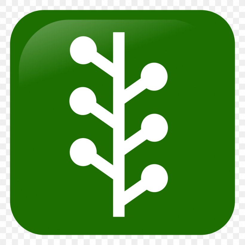 Social Media Symbol, PNG, 1024x1024px, Social Media, Area, Brand, Grass, Green Download Free