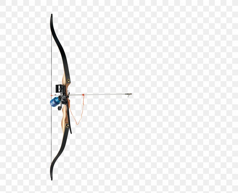 Compound Bows Bowfishing Target Archery Bow And Arrow Bowyer, PNG, 1429x1162px, Compound Bows, Archery, Bow, Bow And Arrow, Bowfishing Download Free