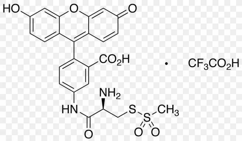 Dye Fluorescence Fluorophore Chemistry Fluorescein, PNG, 858x503px, Dye, Acid, Amine, Amino Acid, Area Download Free
