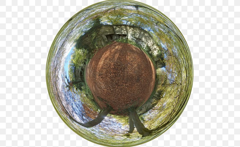 Tree Sphere, PNG, 785x503px, Tree, Artifact, Dishware, Glass, Plate Download Free