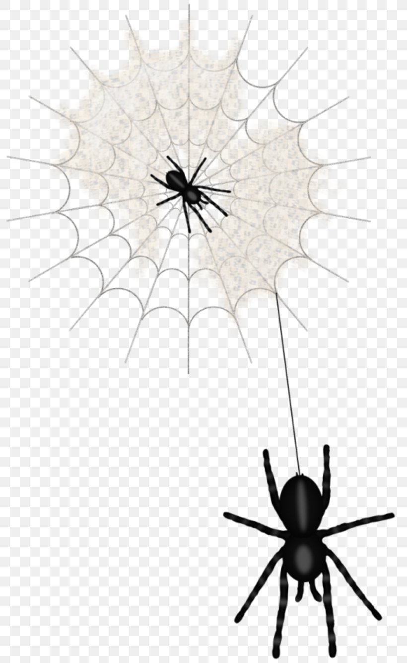 Widow Spiders Clip Art, PNG, 800x1334px, Widow Spiders, Arachnid, Art Museum, Arthropod, Black And White Download Free
