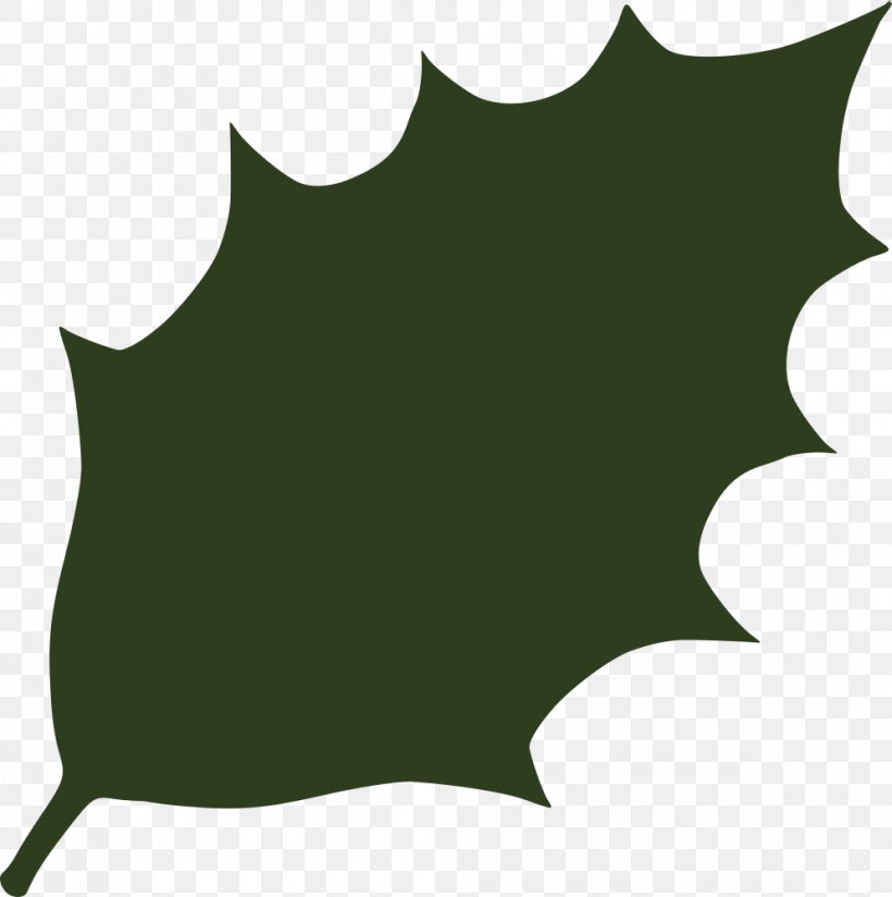 Leaf Holly Green Clip Art, PNG, 994x1000px, Leaf, Black, Fig Leaf, Flora, Grass Download Free