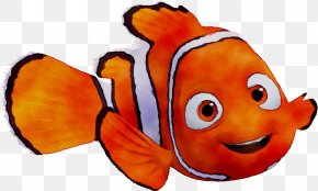 Finding Nemo Pixar The Walt Disney Company Clip Art, Png, 1773x1773px 