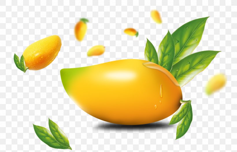 Lemon Mango, PNG, 926x595px, Lemon, Auglis, Citrus, Coreldraw, Designer Download Free