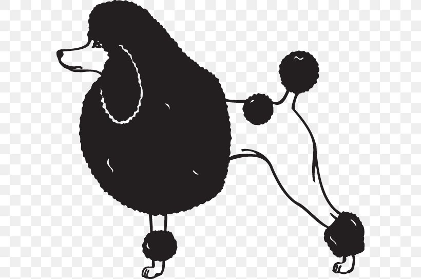 Poodle Pekingese Clip Art Vector Graphics Illustration, PNG, 600x543px, Poodle, Beak, Bird, Black And White, Carnivoran Download Free