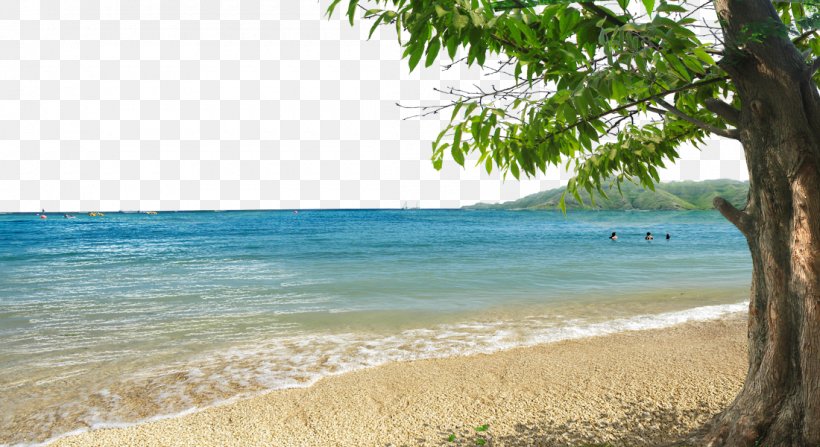 Shore Beach Bay, PNG, 1100x600px, Shore, Bay, Beach, Caribbean, Coast Download Free