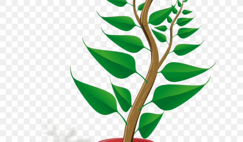 Flowerpot Clip Art Houseplant Plants, PNG, 640x480px, Flowerpot, Animated Cartoon, Auxin, Botany, Branch Download Free