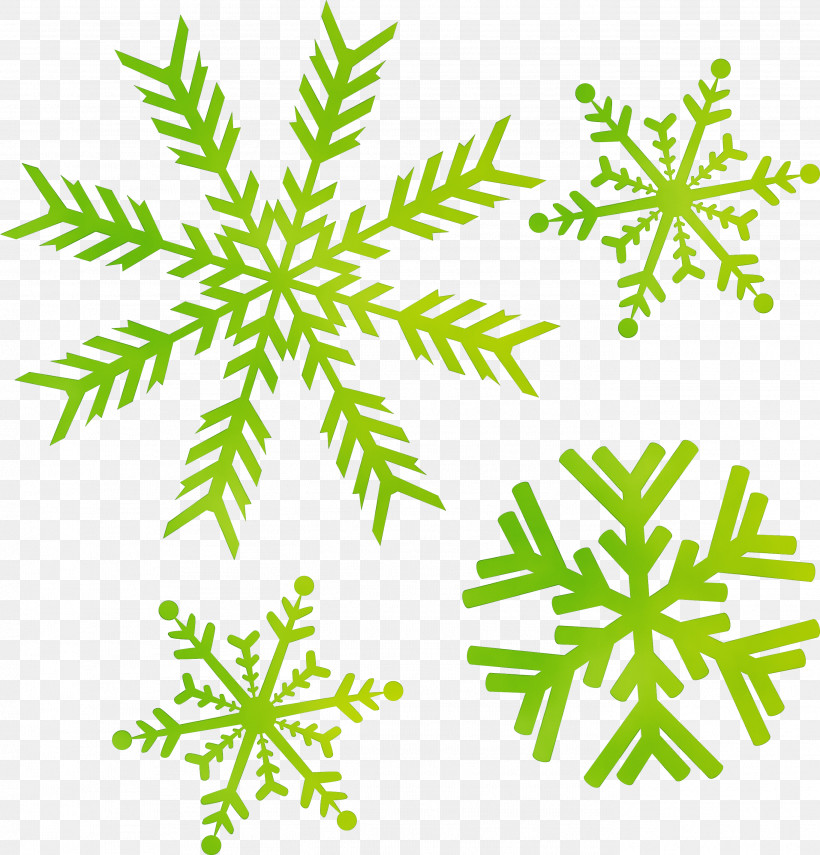 Green Leaf Plant Pedicel, PNG, 2733x2852px, Snowflake, Green, Leaf, Paint, Pedicel Download Free