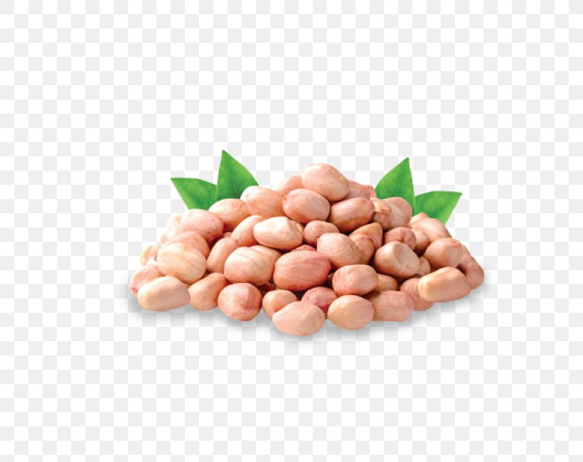 Halva Peanut Seed Vegetarian Cuisine, PNG, 650x650px, Halva, Bean, Cashew, Common Bean, Cranberry Bean Download Free
