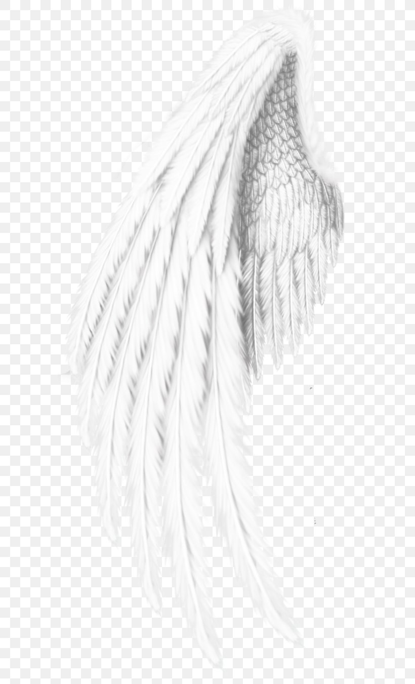 /m/02csf Film Editing Drawing Home Page, PNG, 591x1351px, Film Editing, Beak, Black And White, Blogger, Drawing Download Free