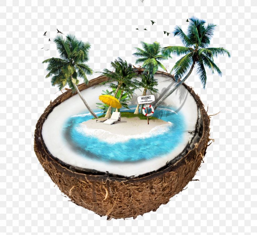 Psd Coconut Water Image Graphics, PNG, 880x803px, Coconut, Coconut Water, Music Download, Tree, Water Download Free