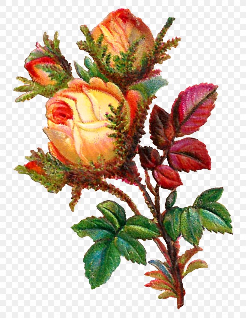 Rose Flower Bouquet Clip Art, PNG, 1089x1409px, Rose, Cut Flowers, Digital Image, Floral Design, Floristry Download Free
