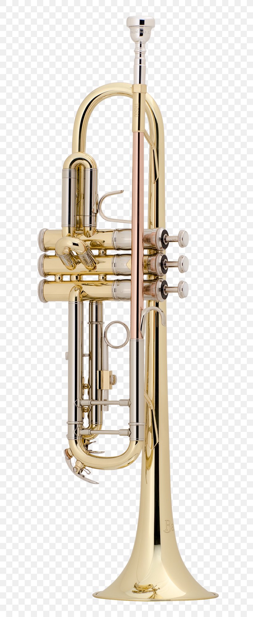 Trumpet Musical Instruments Vincent Bach Corporation Brass Instruments Mouthpiece, PNG, 700x2000px, Watercolor, Cartoon, Flower, Frame, Heart Download Free