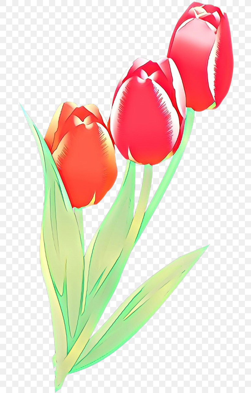 Tulip Flower Plant Petal Cut Flowers, PNG, 708x1280px, Tulip, Cut Flowers, Flower, Lily Family, Petal Download Free