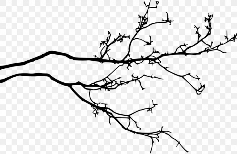 Twig Branch Tree Clip Art, PNG, 850x551px, Twig, Area, Black And White, Branch, Drawing Download Free