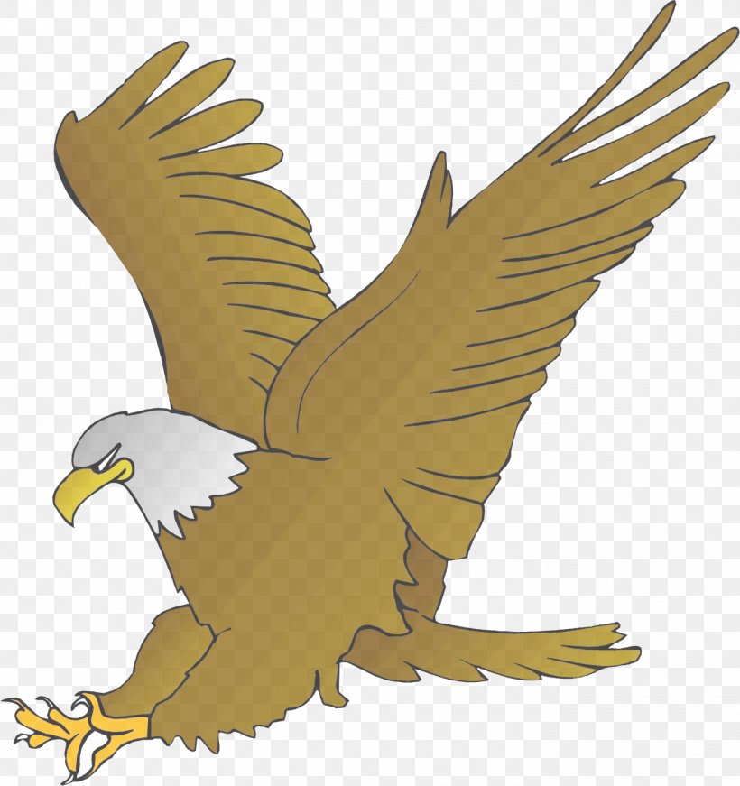 Bird Eagle Bird Of Prey Golden Eagle Accipitridae, PNG, 1390x1477px, Bird, Accipitridae, Bald Eagle, Beak, Bird Of Prey Download Free