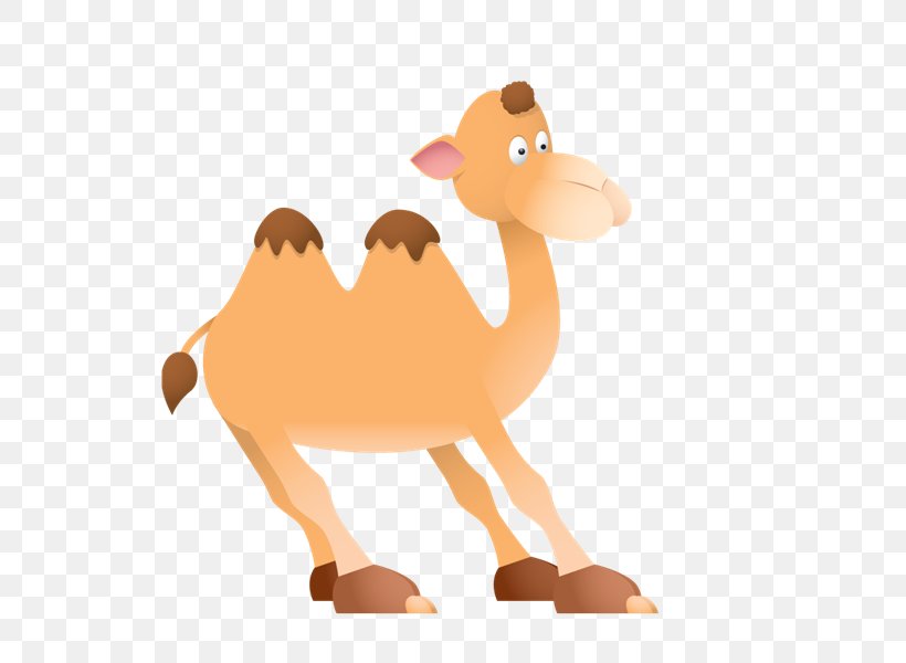 Dromedary Riddle Game Guessing Language, PNG, 800x600px, Dromedary, Animal, Animal Figure, Antwoord, Arabian Camel Download Free