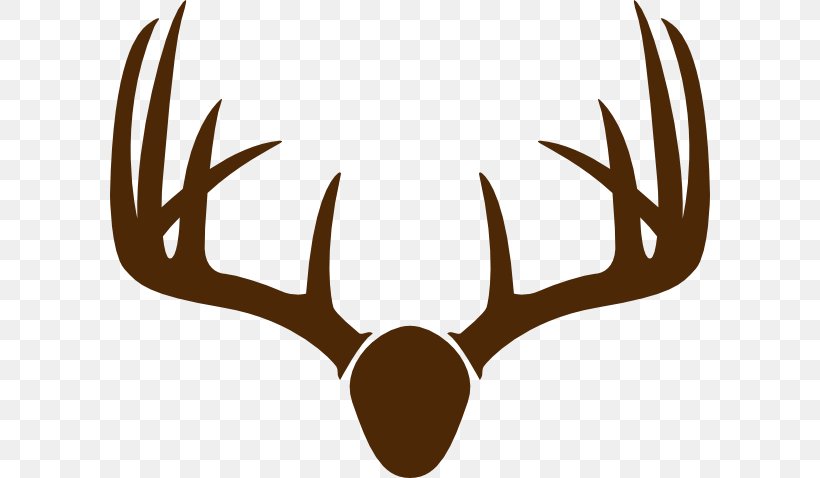White-tailed Deer Elk Moose Antler, PNG, 600x478px, Deer, Antler, Black And White, Elk, Horn Download Free