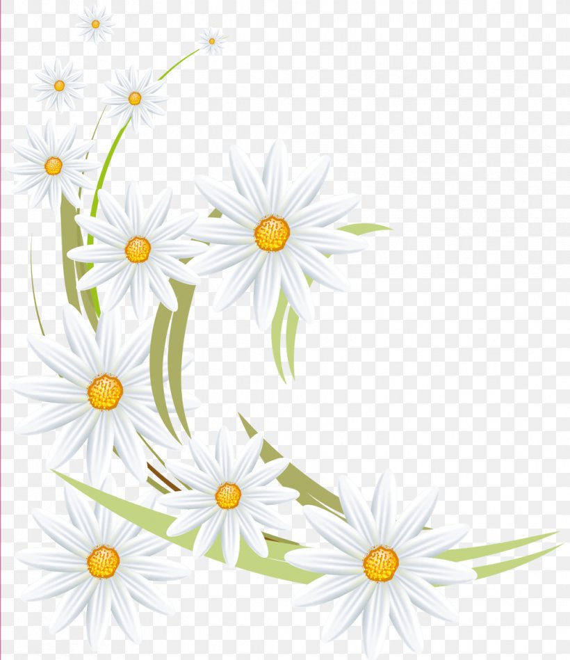 Oxeye Daisy Flower Daisy Family German Chamomile Roman Chamomile, PNG, 1036x1200px, Oxeye Daisy, Advertising, Chamaemelum Nobile, Chrysanthemum, Chrysanths Download Free