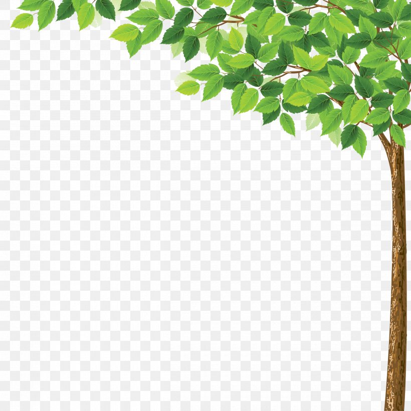 Tree Desktop Wallpaper Clip Art, PNG, 2500x2500px, Tree, Branch, Christmas Tree, Eastern White Pine, Flowerpot Download Free