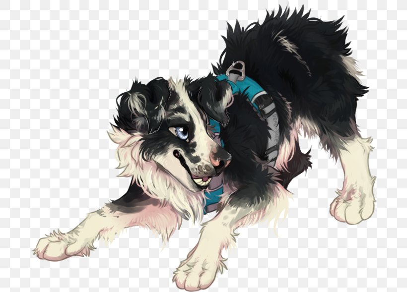 Dog Breed Border Collie Puppy Rough Collie Snout, PNG, 702x589px, Dog Breed, Border Collie, Breed, Carnivoran, Dog Download Free