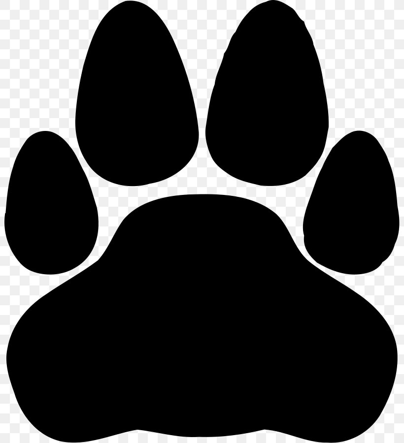 Sphynx Cat Donskoy Polydactyl Cat Kitten, PNG, 802x900px, Sphynx Cat, Black, Black And White, Black Cat, Cat Download Free